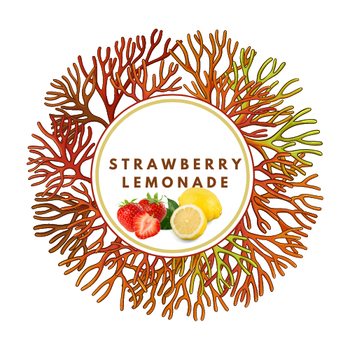 Strawberry Lemonade Flavored Sea Moss Gel