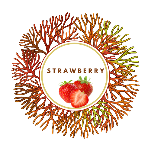 Strawberry Flavored Sea Moss Gel
