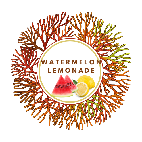 Watermelon Lemonade Flavored Sea Moss Gel